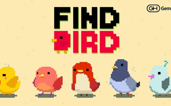 findbird-top